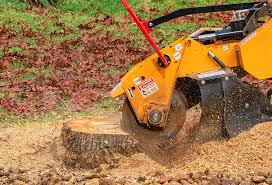 Lawn Edging in Stoughton, WI